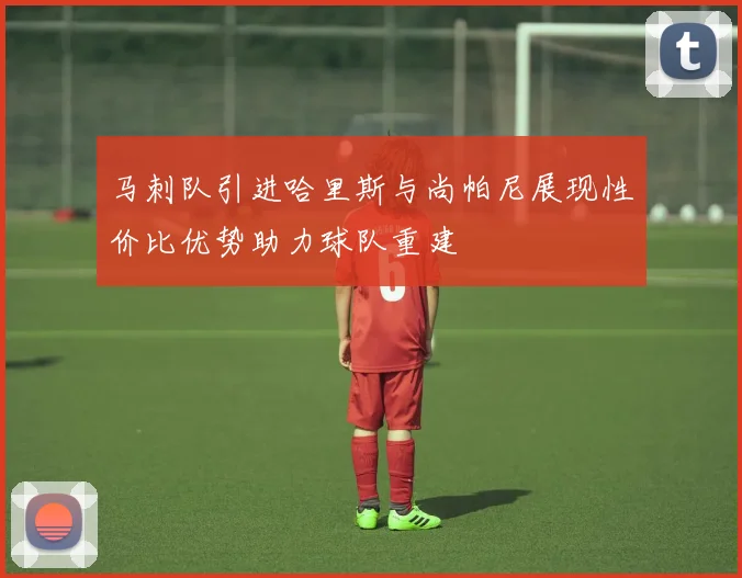 马刺队引进哈里斯与尚帕尼展现性价比优势助力球队重建